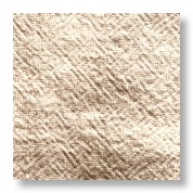 Picture-Taker-bKL3uw