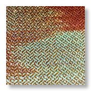 Picture-Taker-zwjPHp